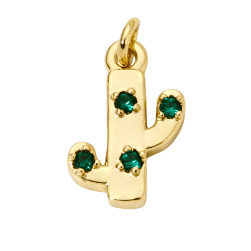 Cactus Charm