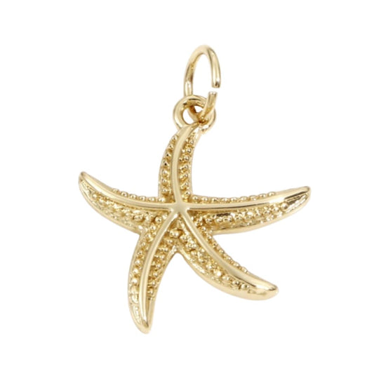 Dainty Starfish Charm