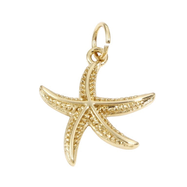 Dainty Starfish Charm