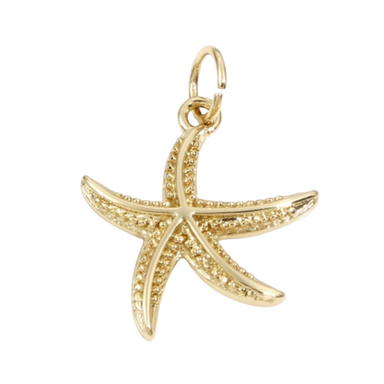 Dainty Starfish Charm