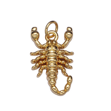 Scorpion Charm
