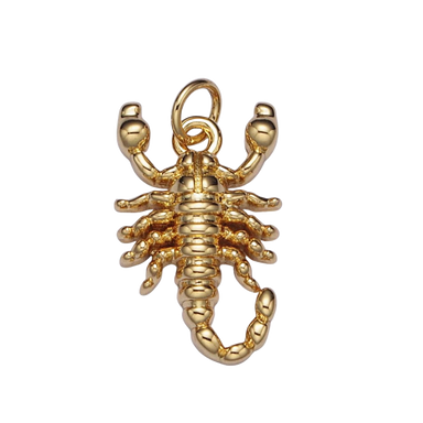 Scorpion Charm